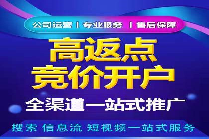 百度竞价赚钱技巧：实战案例分析